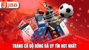 Trang cá độ bóng đá uy tín hot nhất