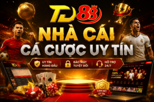 TD88 nhà cái cá cược uy tín